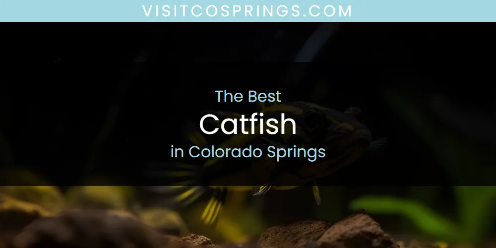 2026 Guide to Best Catfish in Colorado Springs
