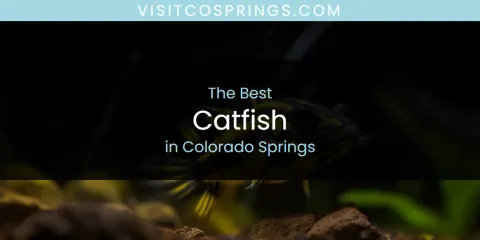 Guide to Best Catfish in Colorado Springs