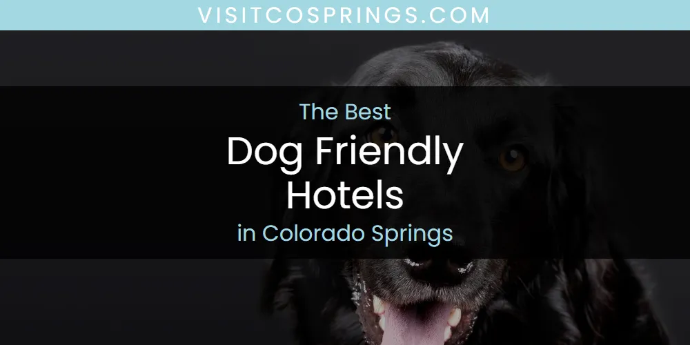 2026 Guide to Best Dog Friendly Hotels in Colorado Springs