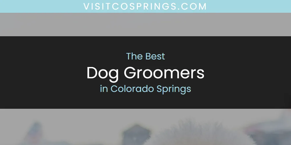 The Absolute Best Dog Groomers in Colorado Springs featured