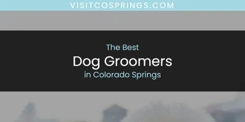The Absolute Best Dog Groomers in Colorado Springs
