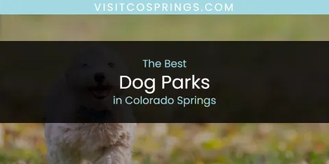 Ranked: Best Dog Parks in Colorado Springs