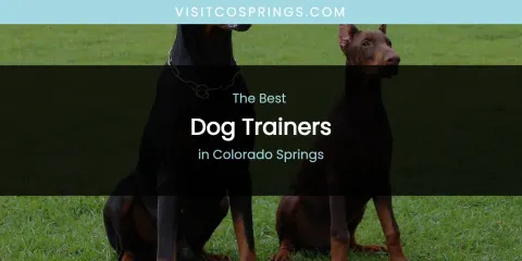 The Absolute Best Dog Trainers in Colorado Springs