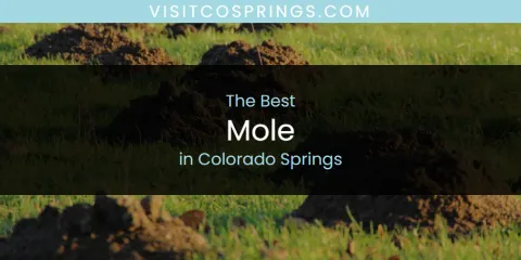 The Absolute Best Mole in Colorado Springs