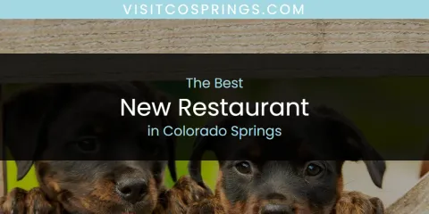 The Absolute Best New Restaurant in Colorado Springs