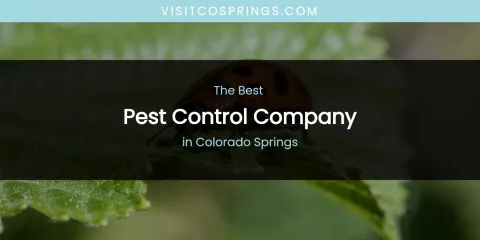The Absolute Best Pest Control Company in Colorado Springs