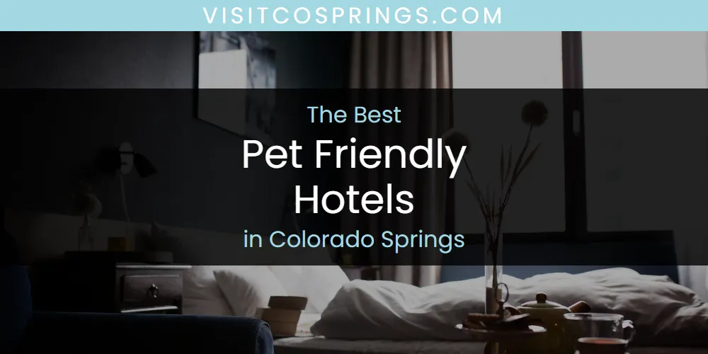 The Absolute Best Pet Friendly Hotels in Colorado Springs  [Updated 2025]