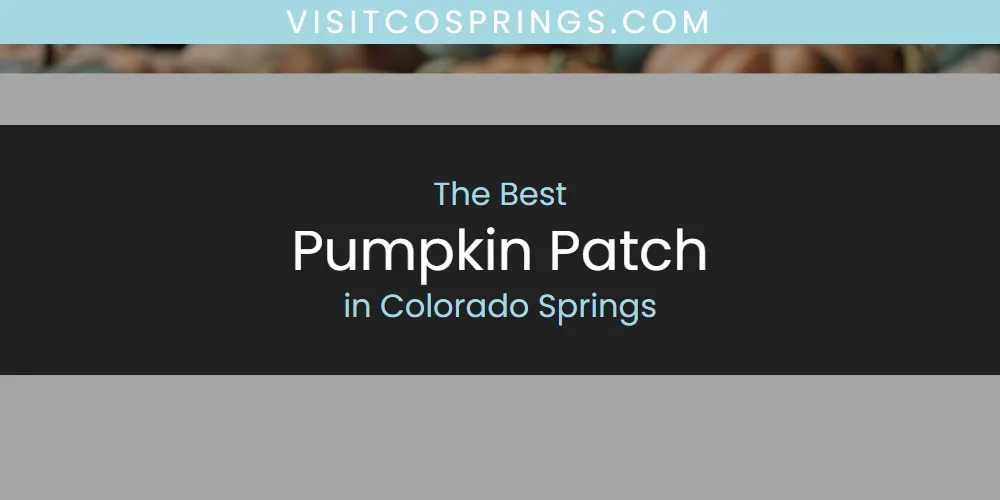 The Absolute Best Pumpkin Patch in Colorado Springs  [Updated 2025]