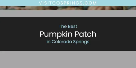 Best Pumpkin Patch in Colorado Springs: Ultimate Guide