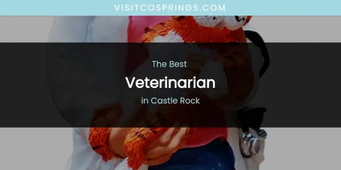 The Absolute Best Veterinarian in Castle Rock