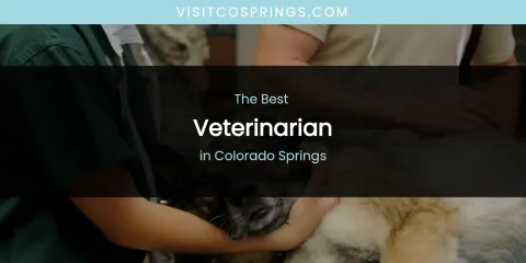 The Absolute Best Veterinarian in Colorado Springs