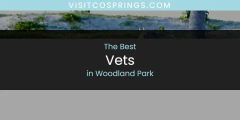 Woodland Park's Best Vets